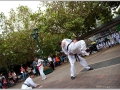 tkd_081