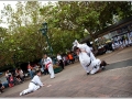 tkd_088