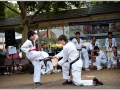 tkd_097