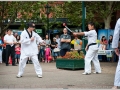 tkd_110