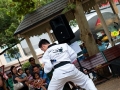 tkd_133