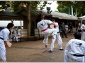 tkd_193