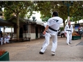 tkd_208