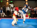 tkd_095