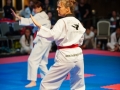 tkd_226