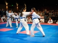 tkd_288
