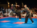 tkd_331