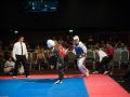 tkd_366