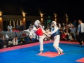 tkd_370