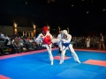 tkd_393