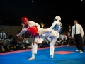 tkd_395